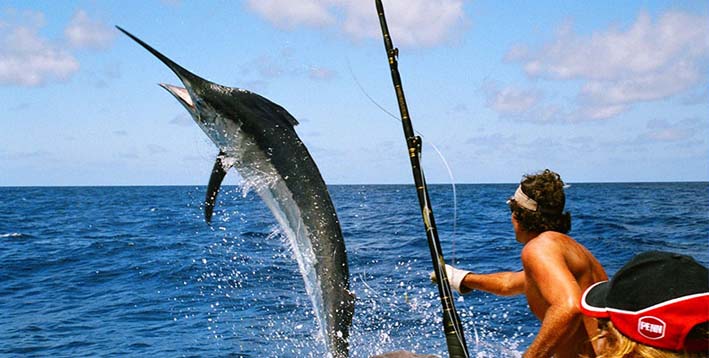 Sport & Professional Fishing